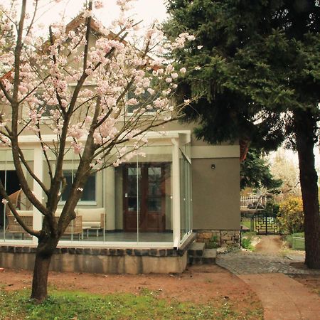 Aquilo Hotel Panorama Tihany Exterior photo